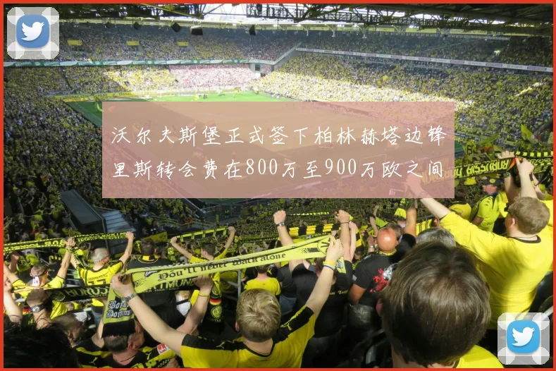 沃尔夫斯堡正式签下柏林赫塔边锋里斯转会费在800万至900万欧之间